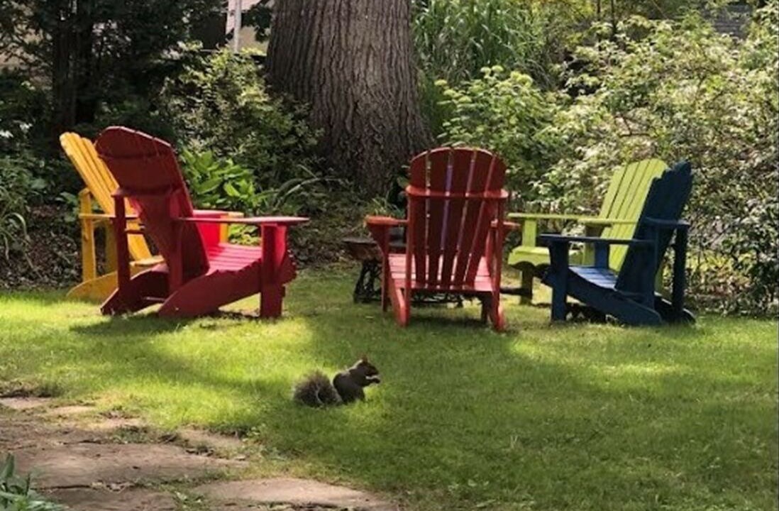 Photo of Outdoor in Mineola