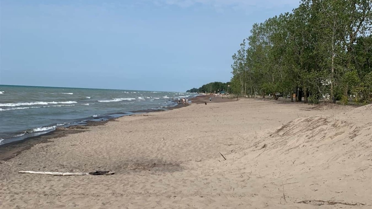Photo of Others in Long Point