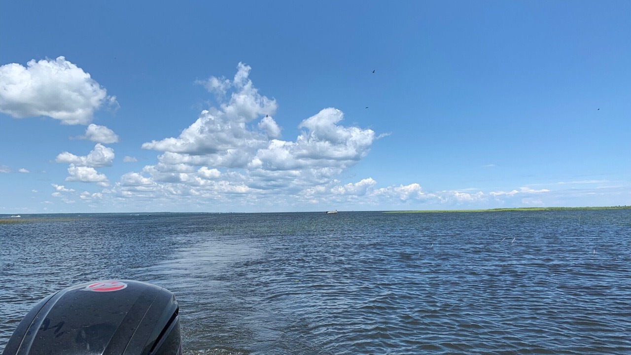 Photo of Others in Long Point