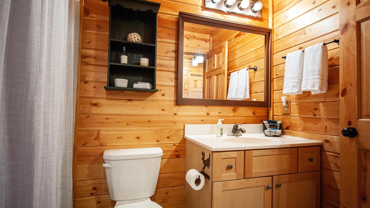 Photo of Bathroom in Annandale