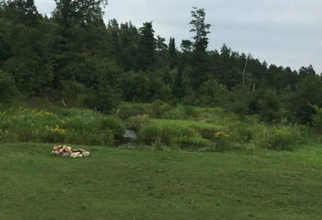 Photo of Outdoor in Hubbard County
