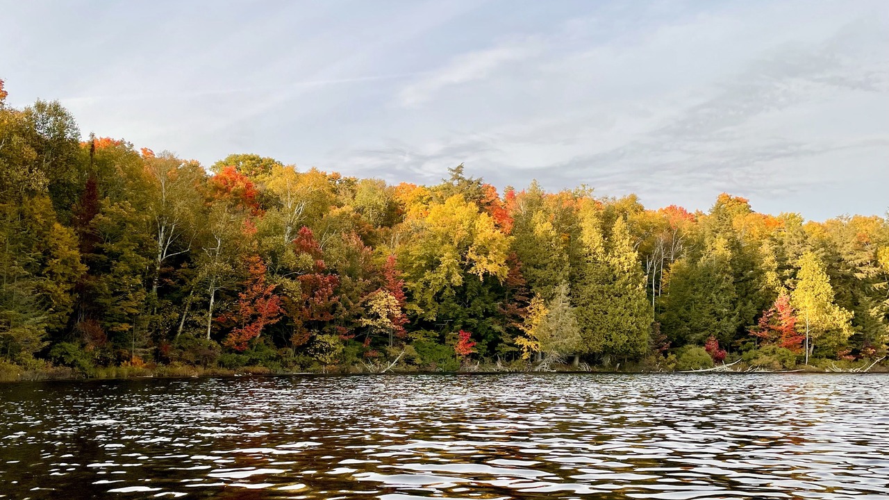 Photo of Outdoor in Unorganized Centre Parry Sound