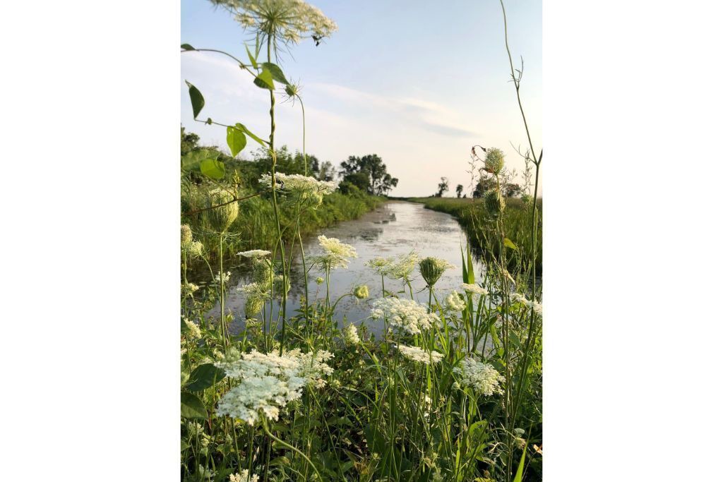 Photo of Outdoor in Chatham-Kent