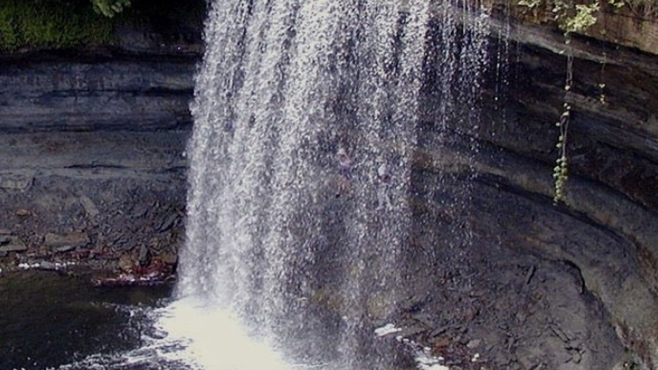 Photo of Others in Manitoulin District