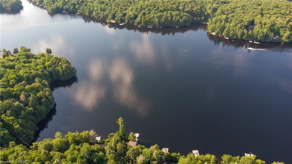 Photo of Outdoor in North Kawartha