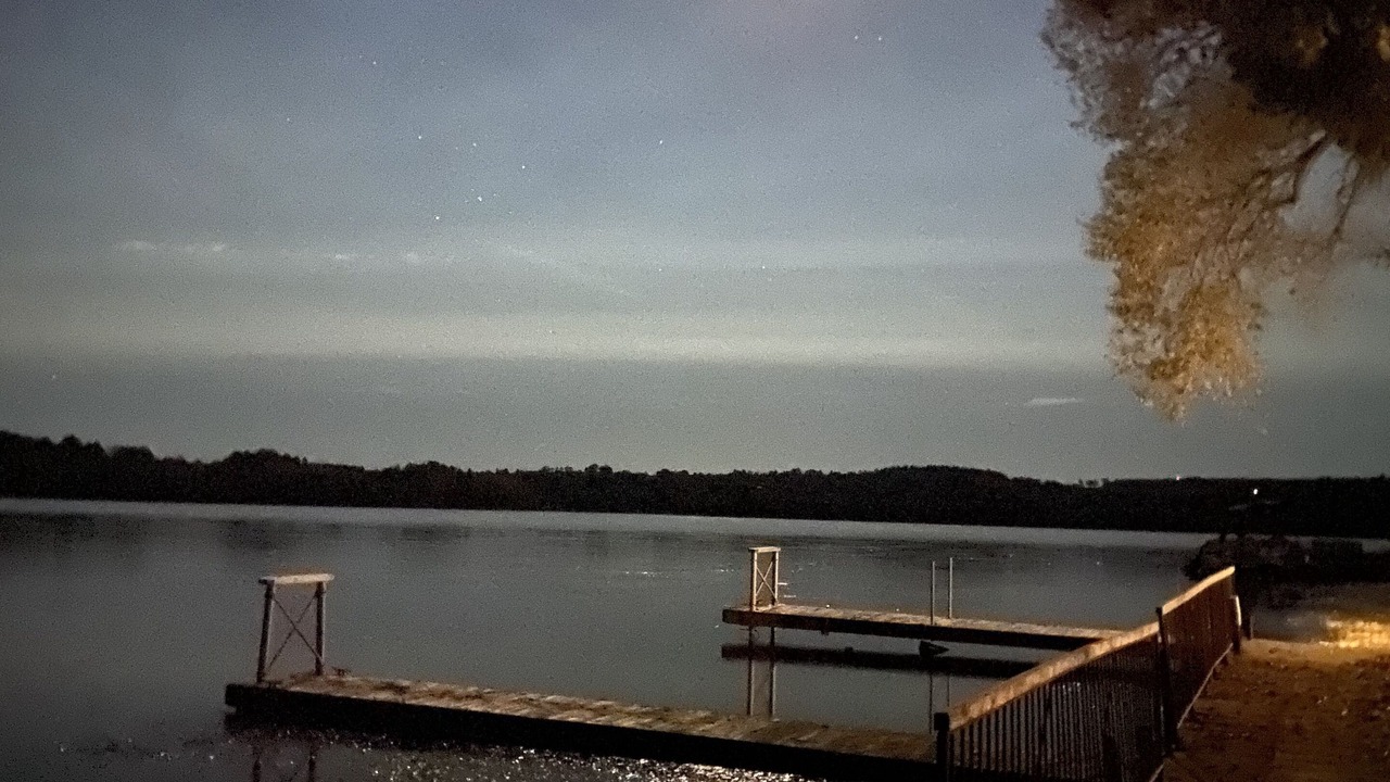 Photo of Others in Roseneath