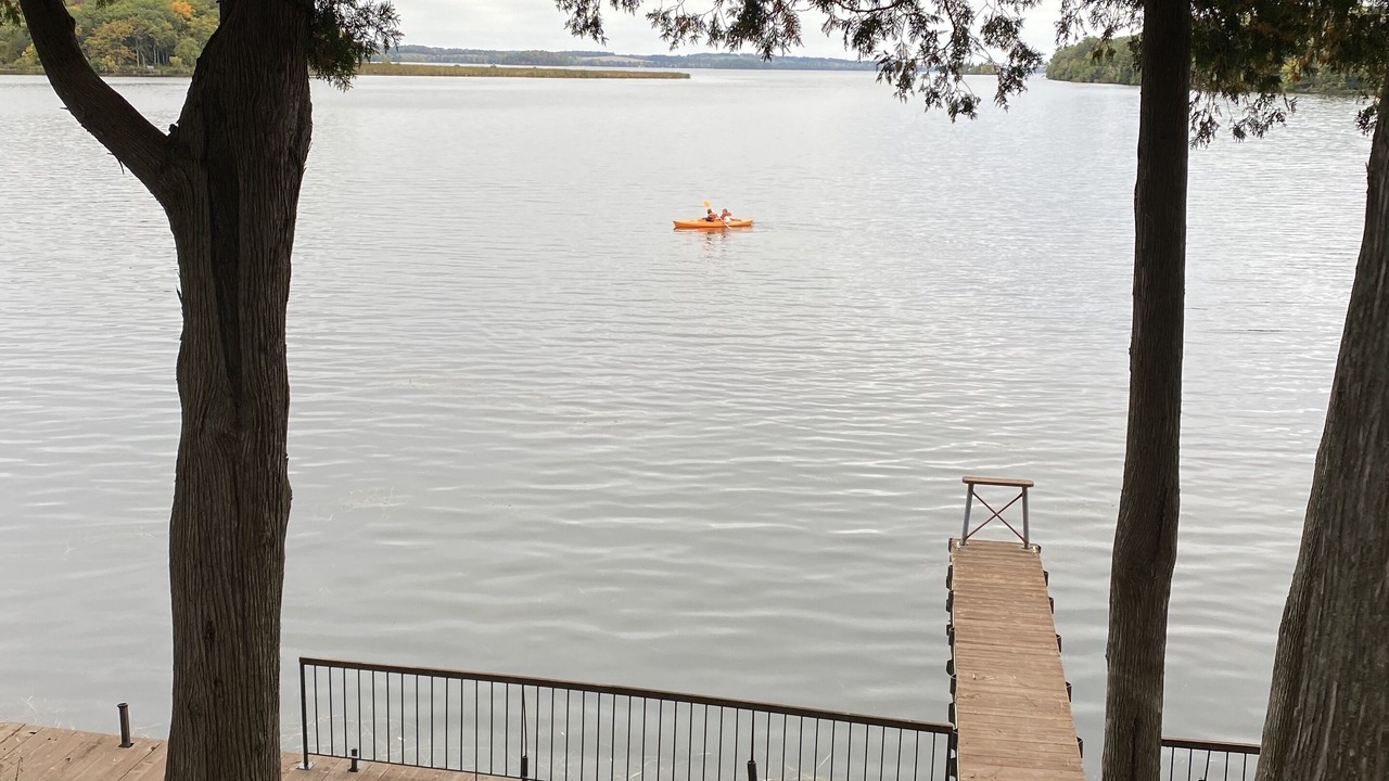 Photo of Others in Roseneath