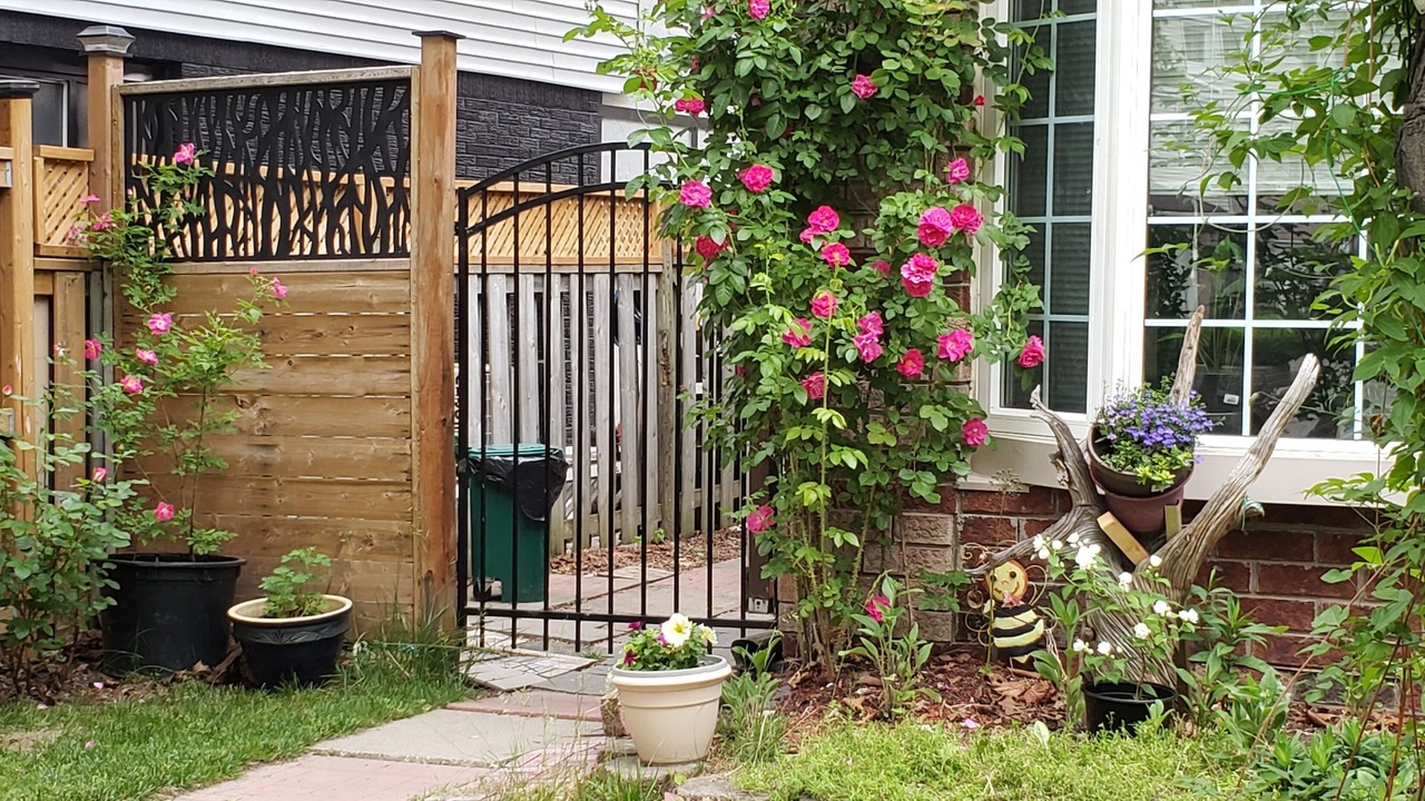 Photo of Outdoor in Mississauga Valleys