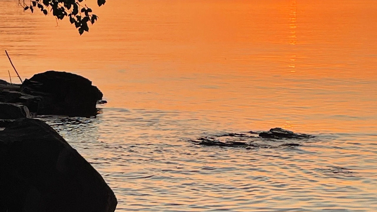 Photo of Others in Two Harbors
