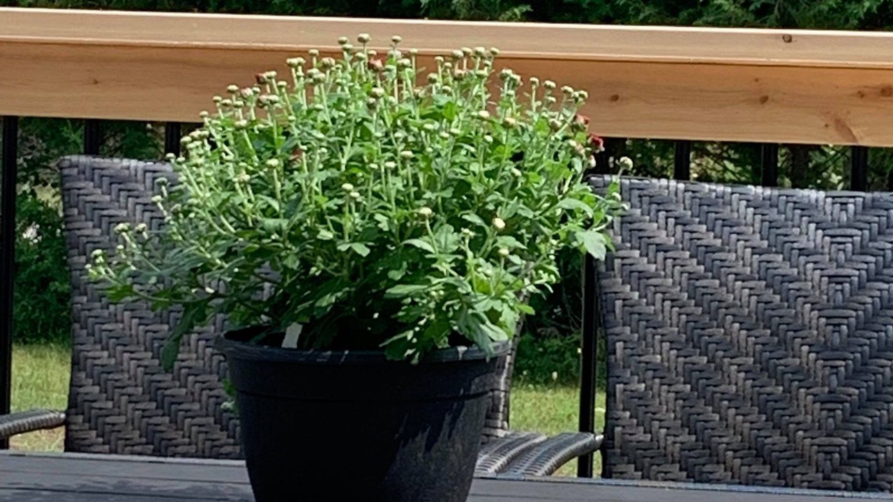 Photo of Outdoor in Manitoulin District