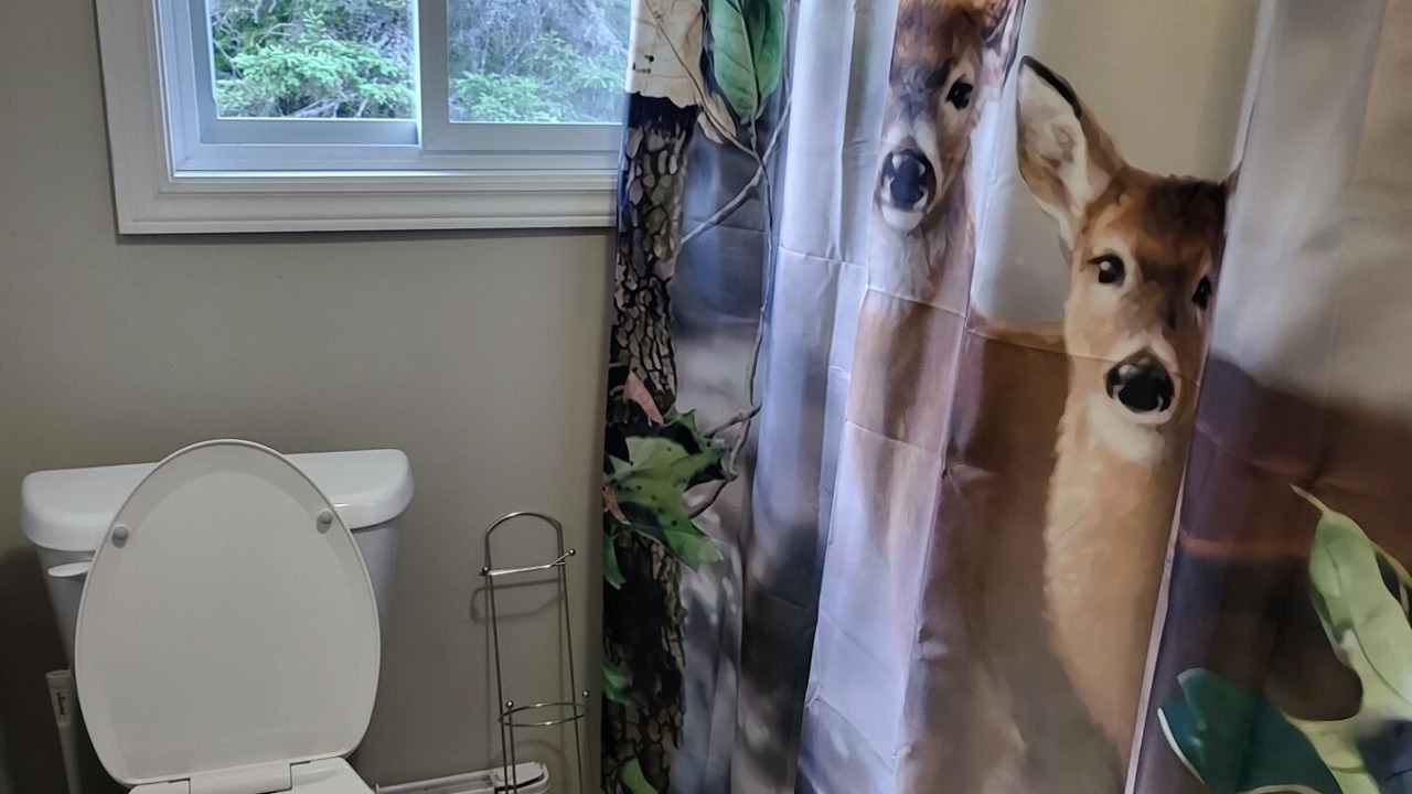 Photo of Bathroom in Manitoulin District