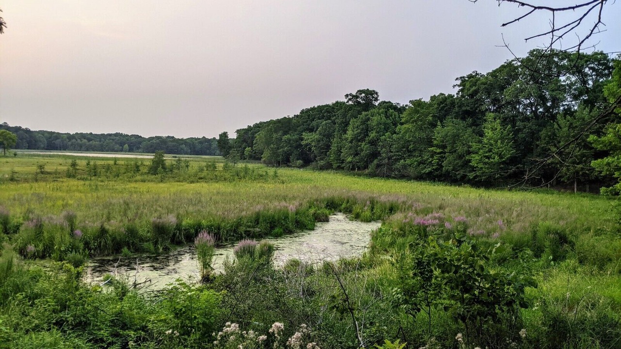 Photo of Outdoor in Forest Lake