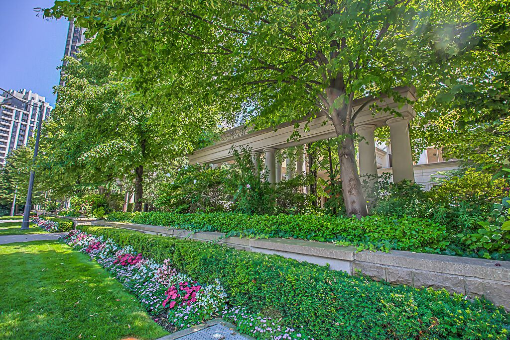 Photo of Outdoor in Willowdale
