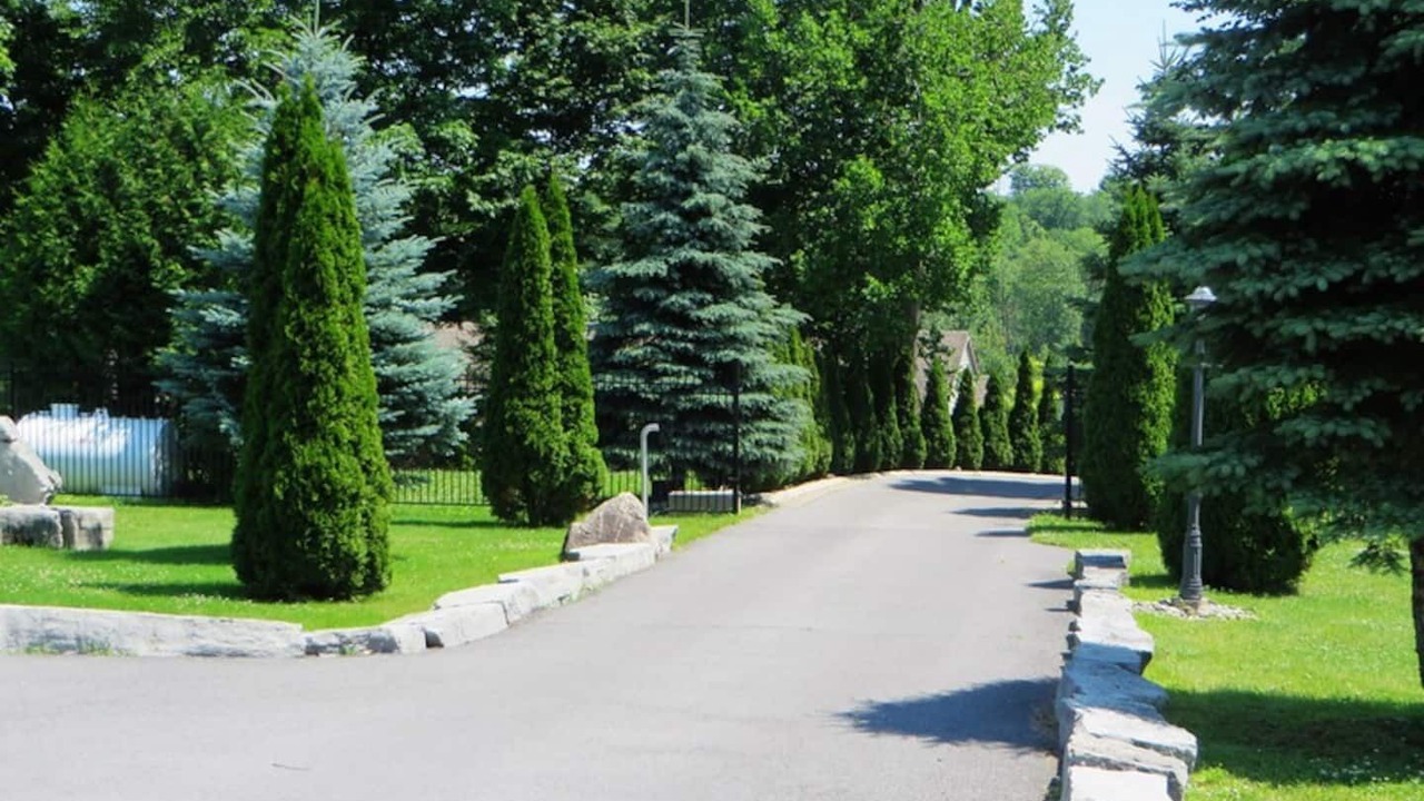 Photo of Others in Stone Mills
