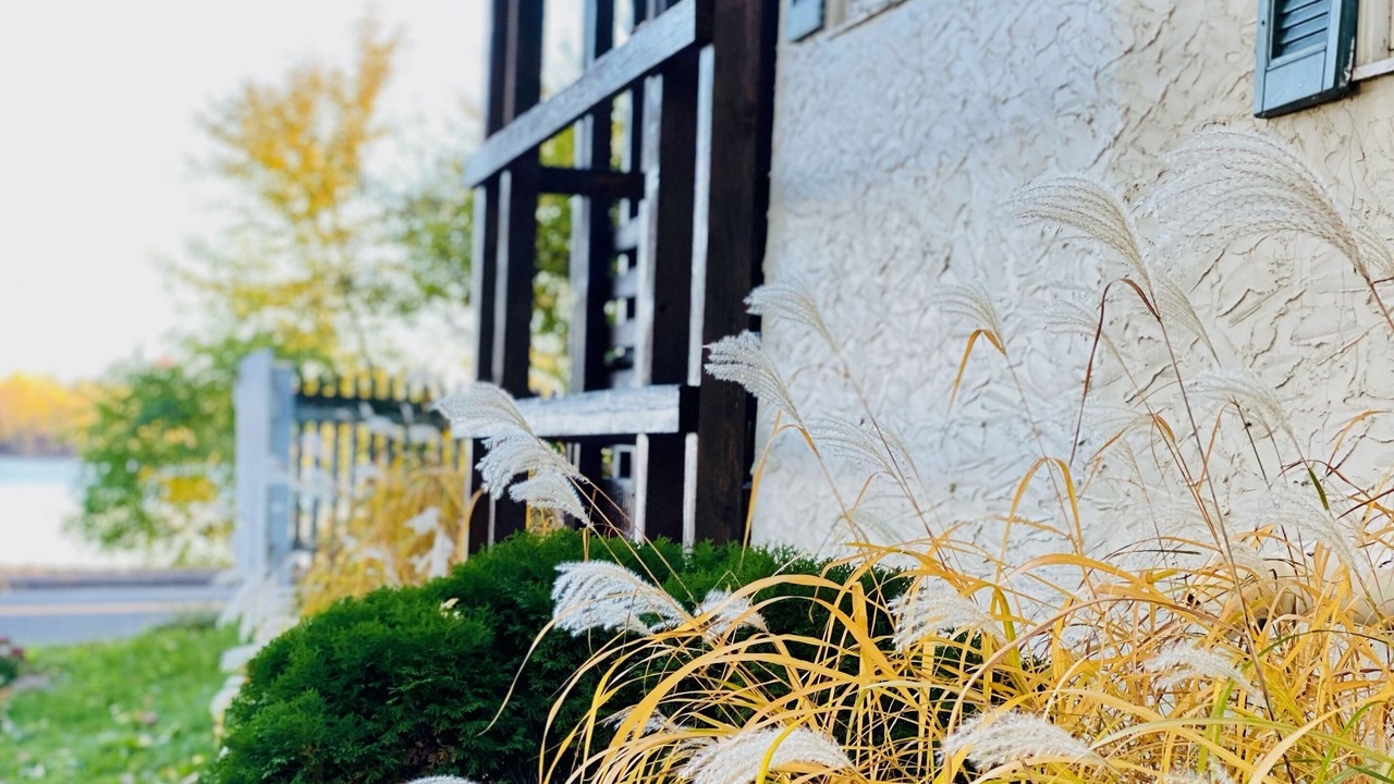 Photo of Outdoor in Arden Hills