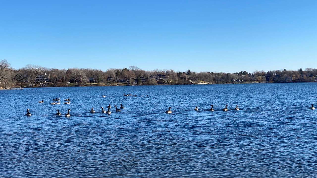 Photo of Others in Arden Hills