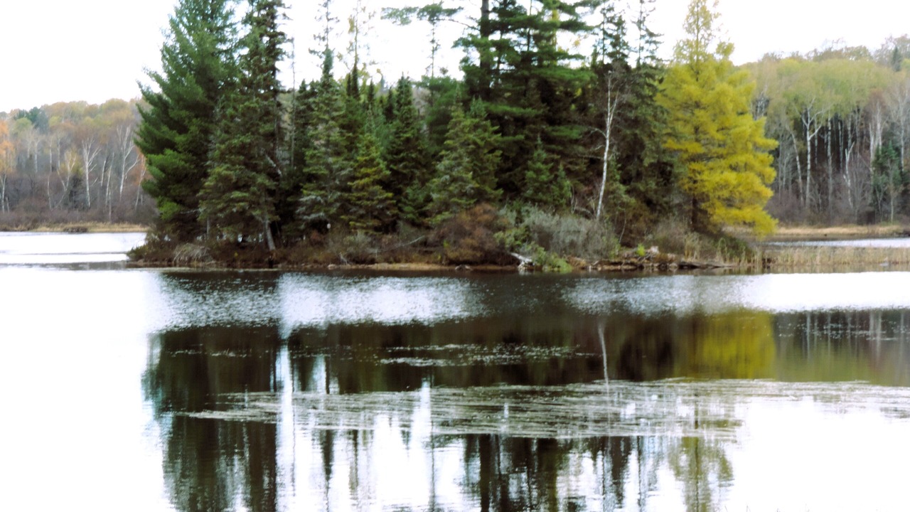 Photo of Outdoor in Joly