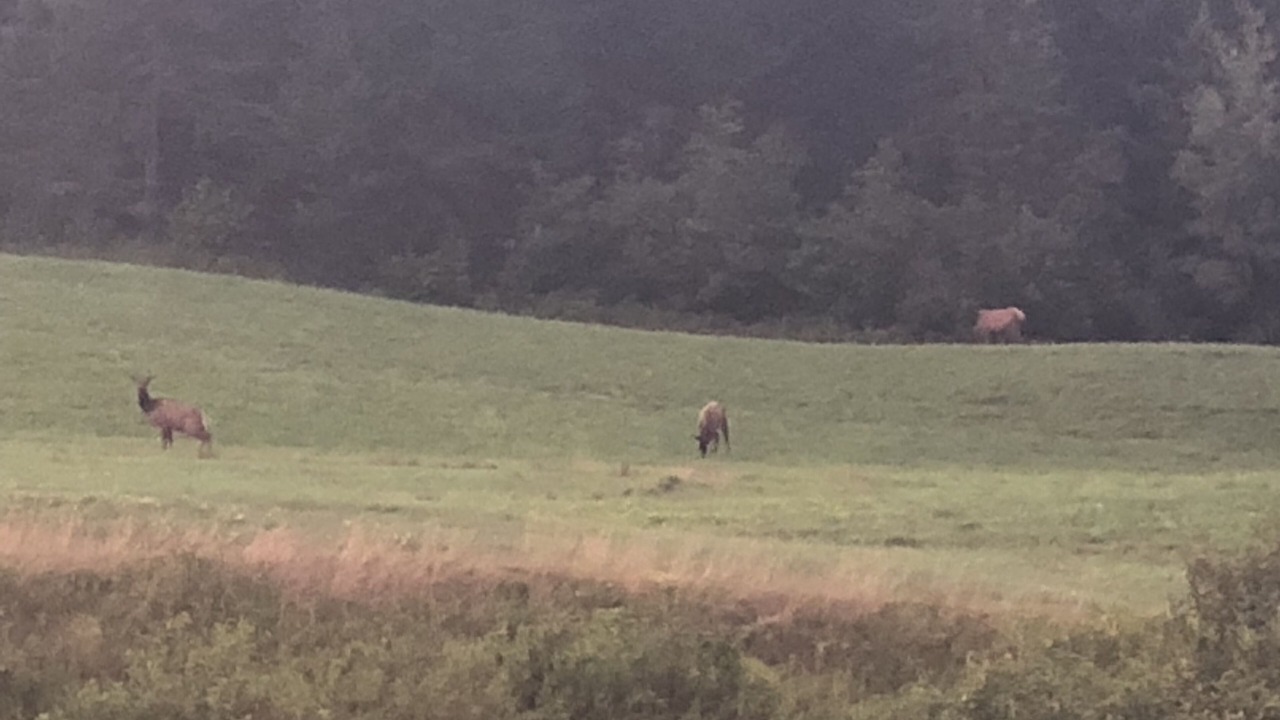 Photo of Others in Algoma District
