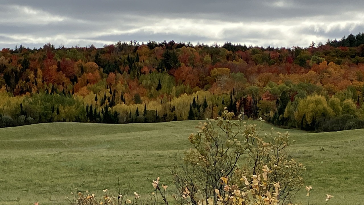 Photo of Others in Algoma District
