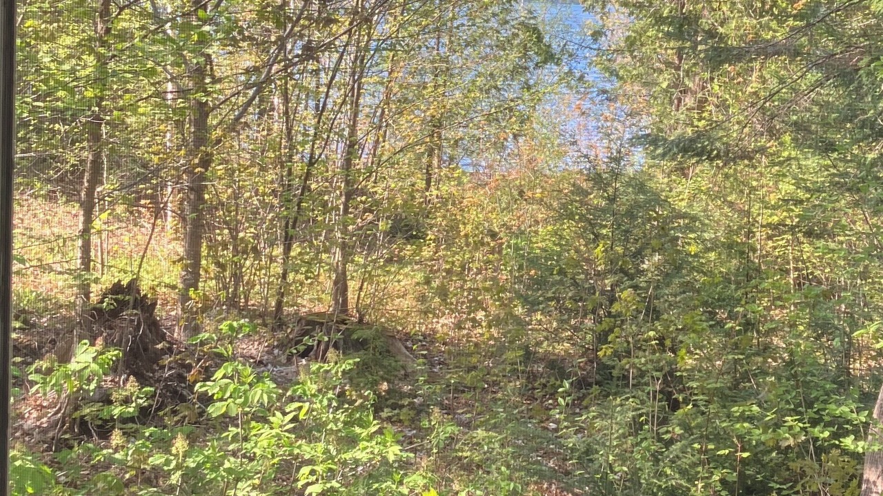 Photo of Outdoor in Algoma District