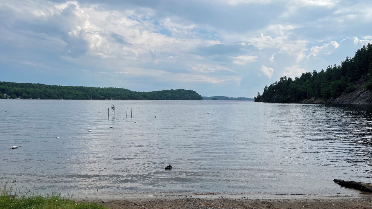 Photo of Others in Utterson