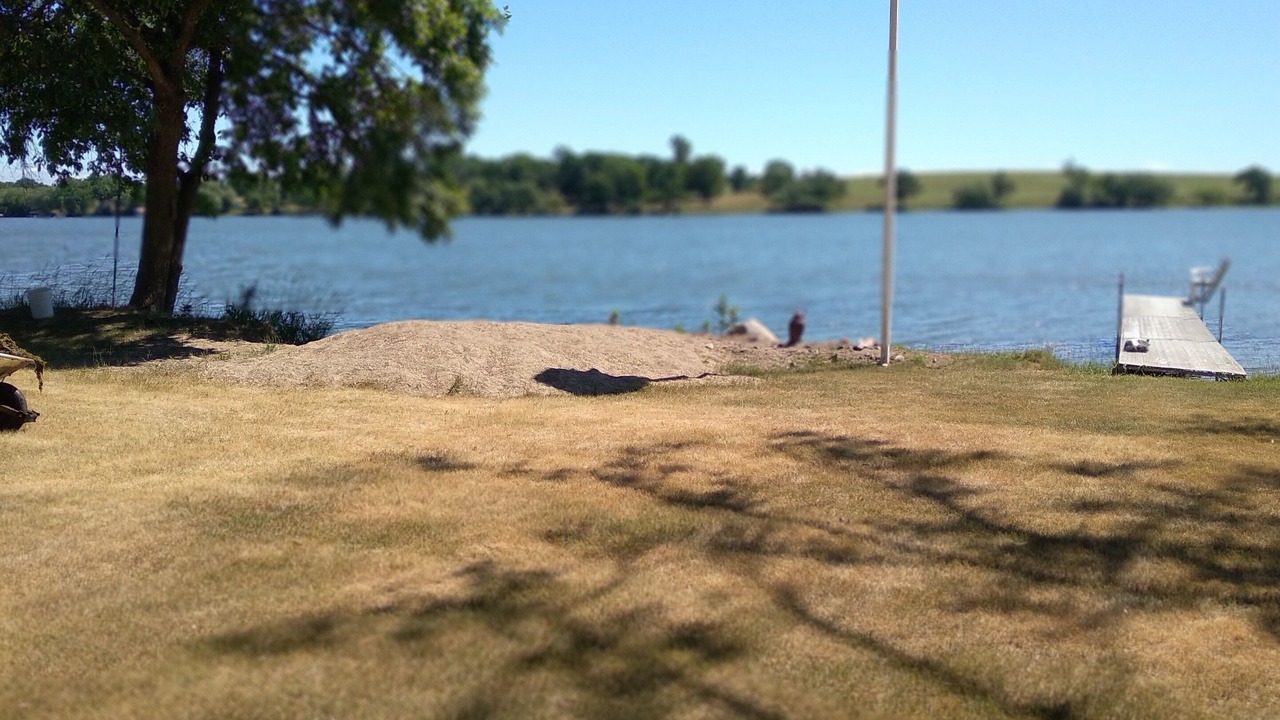 Photo of Others in Long Prairie