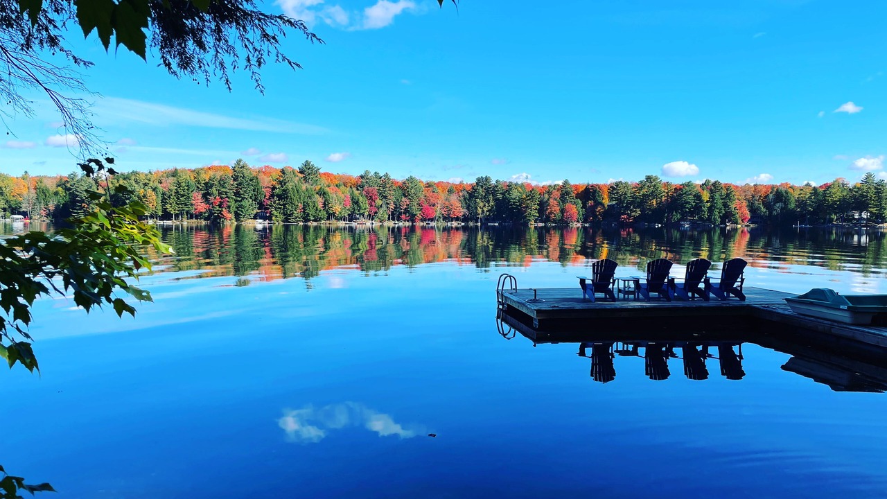 Photo of Others in Bracebridge