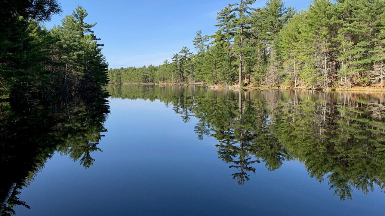 Photo of Outdoor in Pointe au Baril
