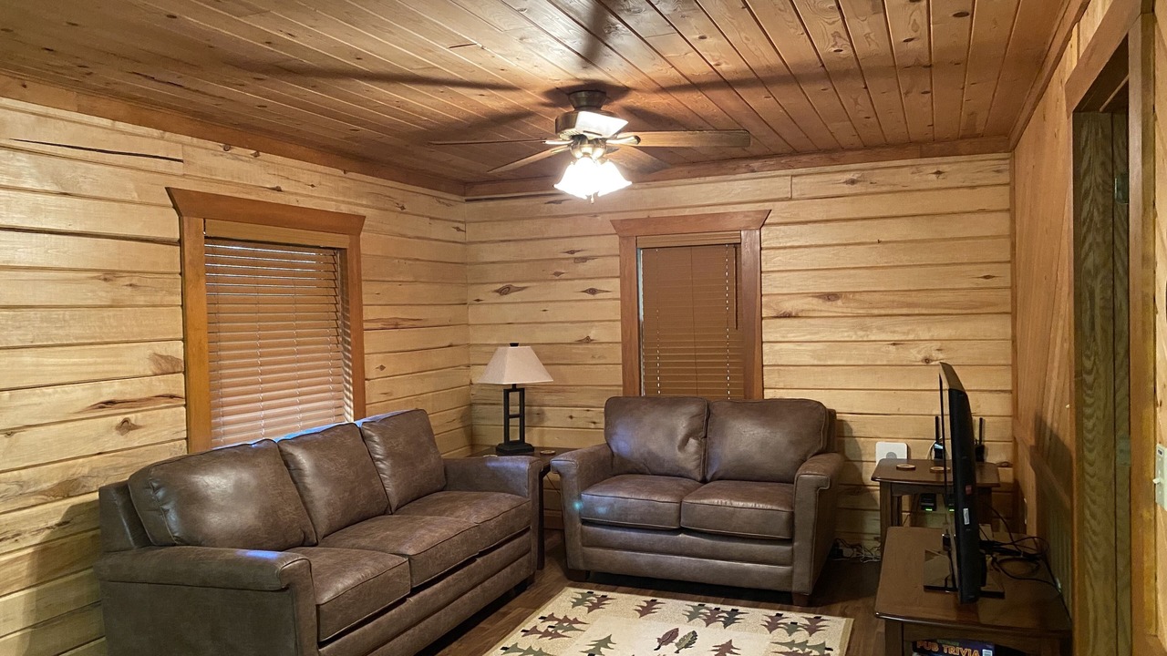 Photo of Livingroom in Beltrami County
