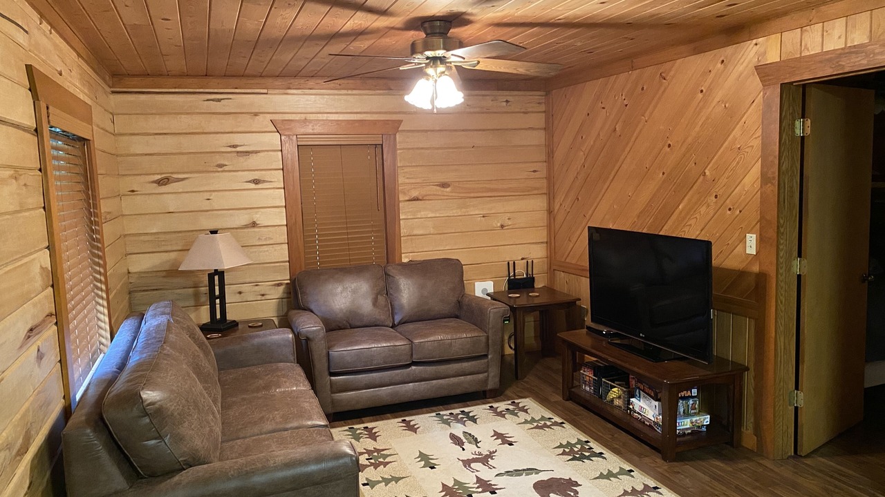 Photo of Livingroom in Beltrami County