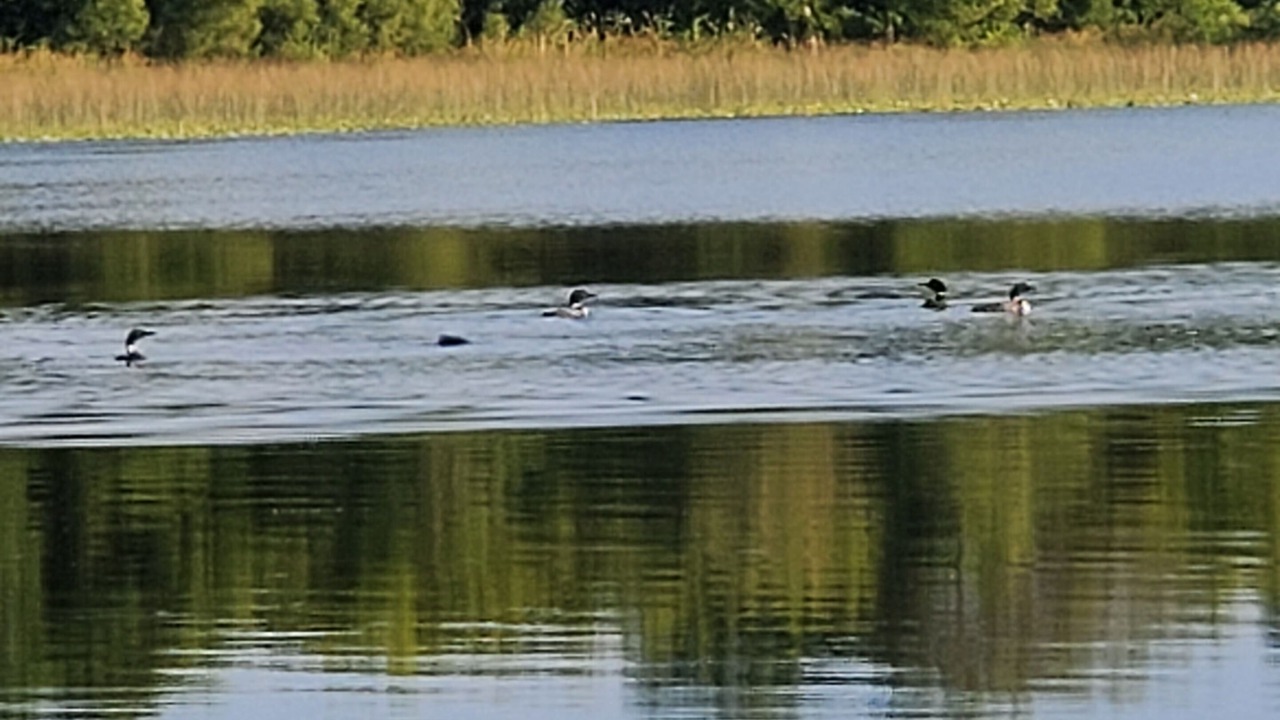 Photo of Outdoor in Grandy