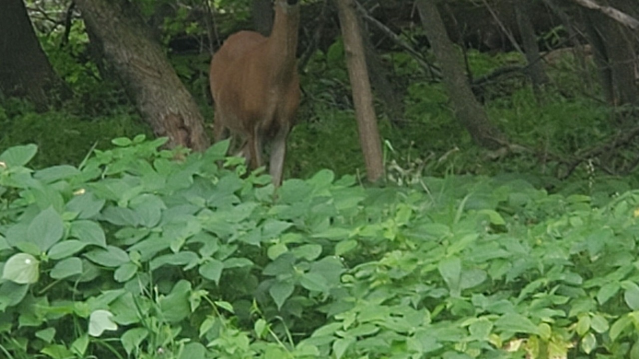 Photo of Outdoor in Grandy