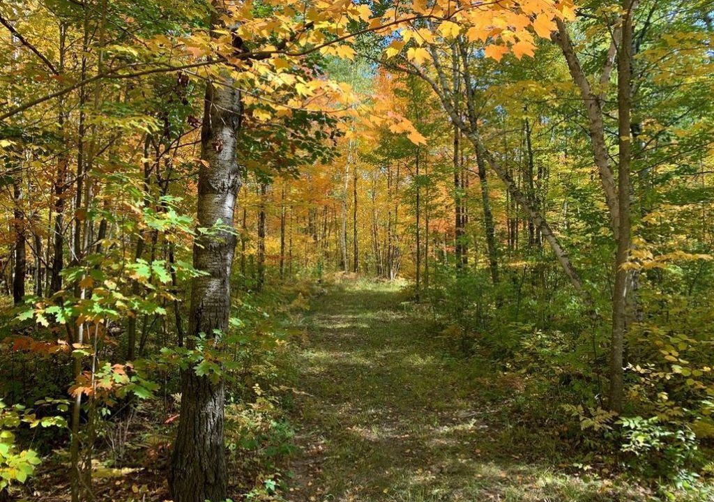 Photo of Outdoor in Hinckley