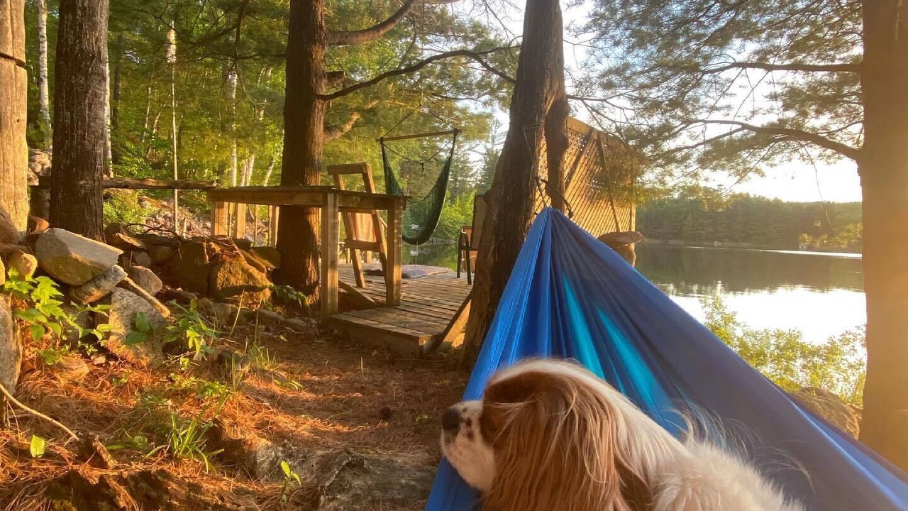 Photo of Outdoor in Bonfield