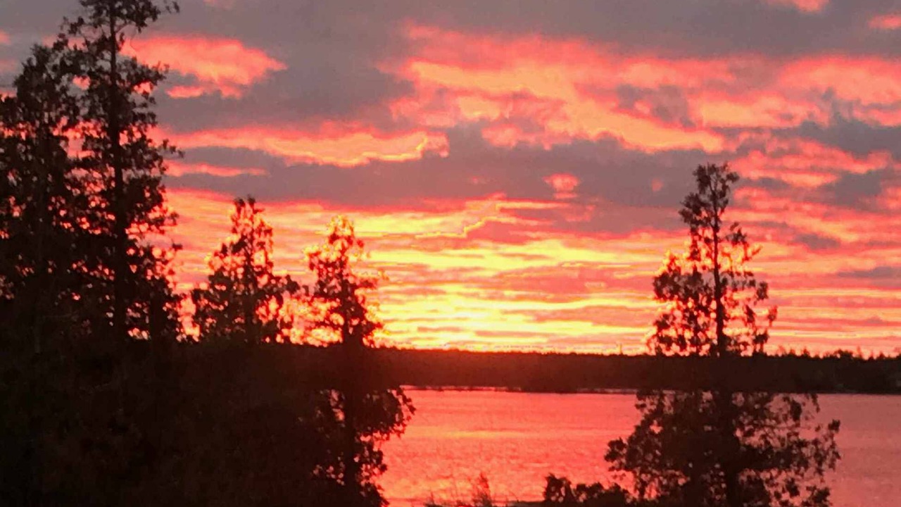 Photo of Others in Northern Bruce Peninsula
