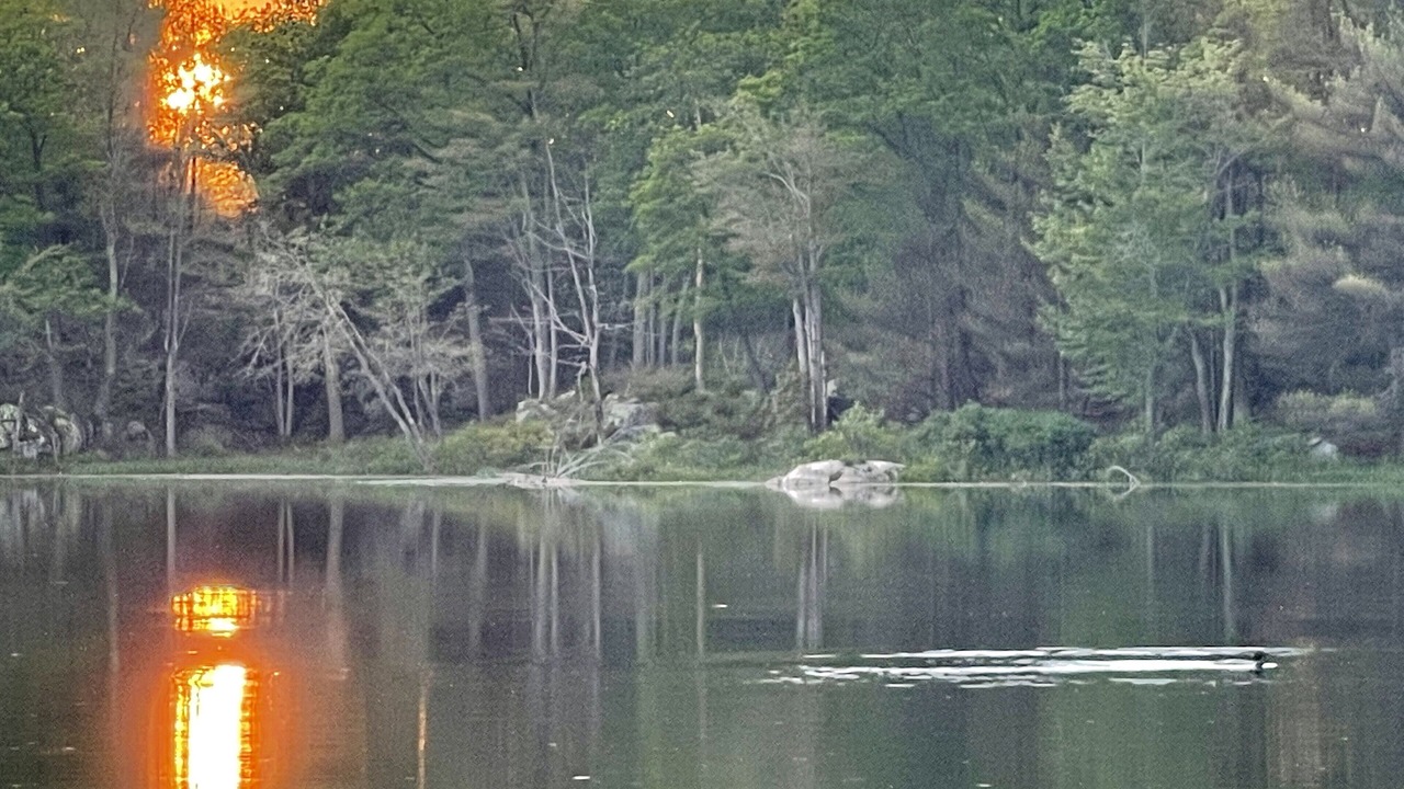 Photo of Others in Havelock-Belmont-Methuen