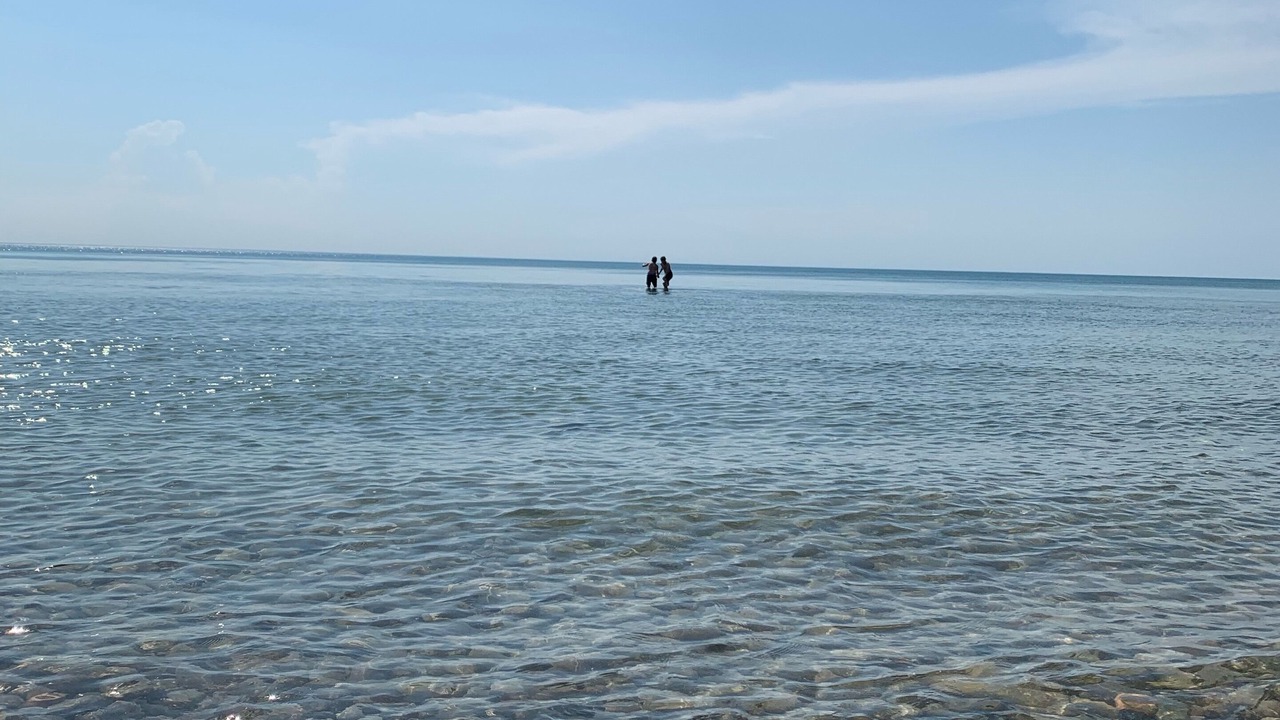 Photo of Others in Bayfield