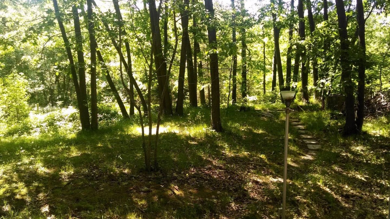 Photo of Outdoor in Grand Bend