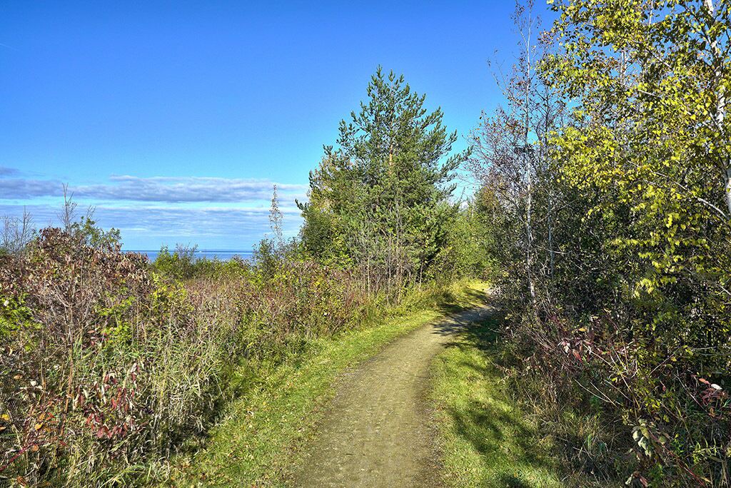 Photo of Outdoor in Collingwood