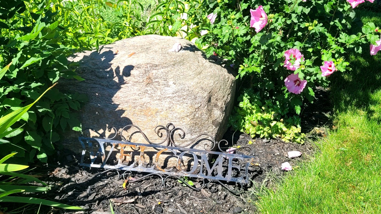 Photo of Outdoor in Collingwood