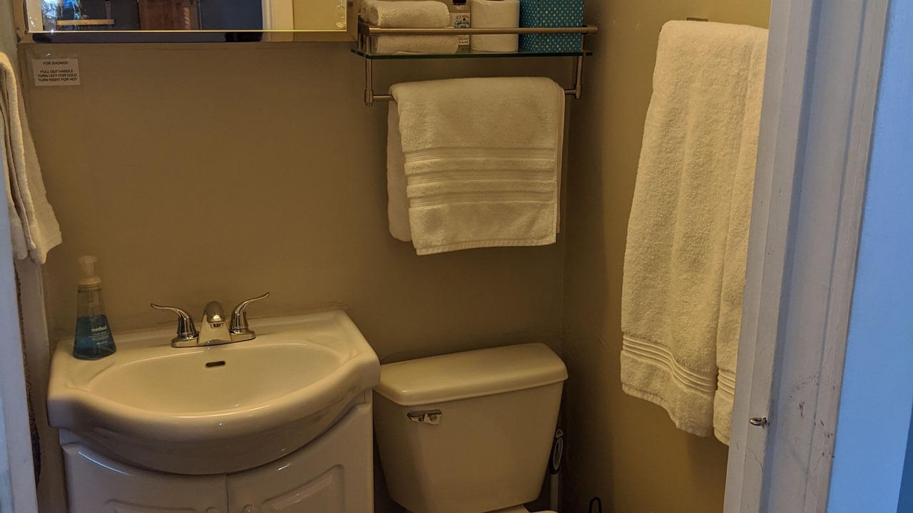 Photo of Bathroom in Lyn-Lake