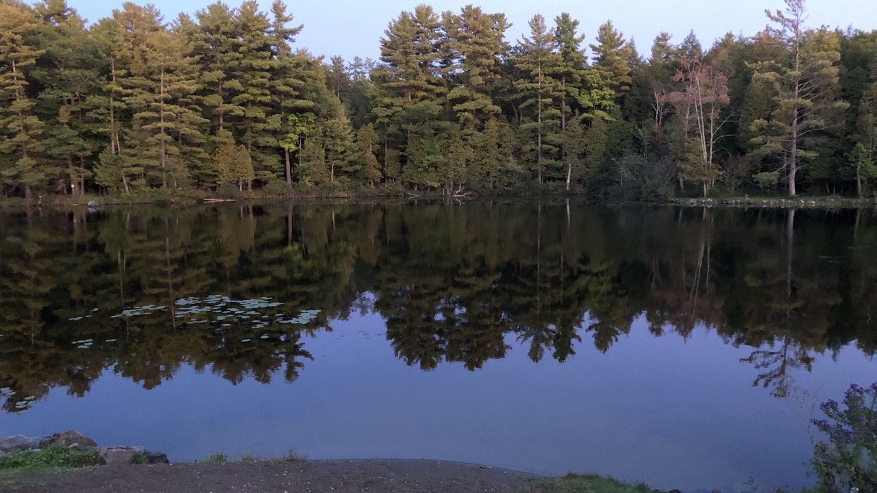 Photo of Outdoor in Havelock-Belmont-Methuen