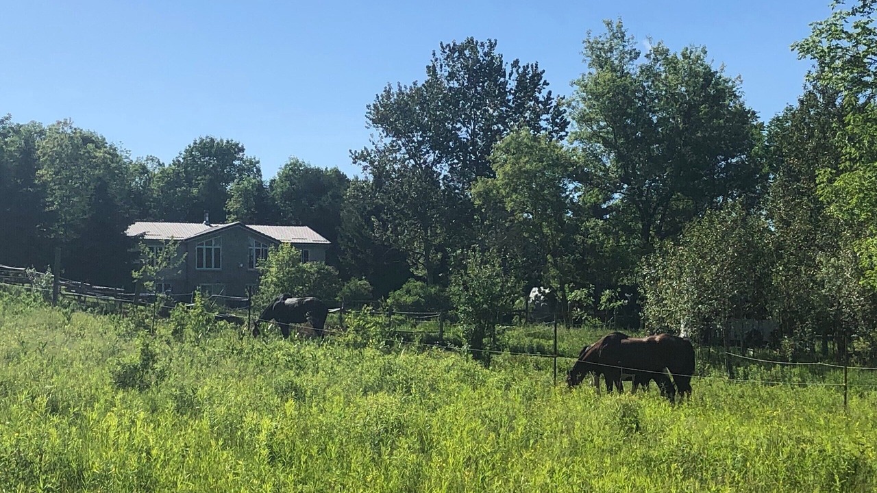 Photo of Others in West Grey