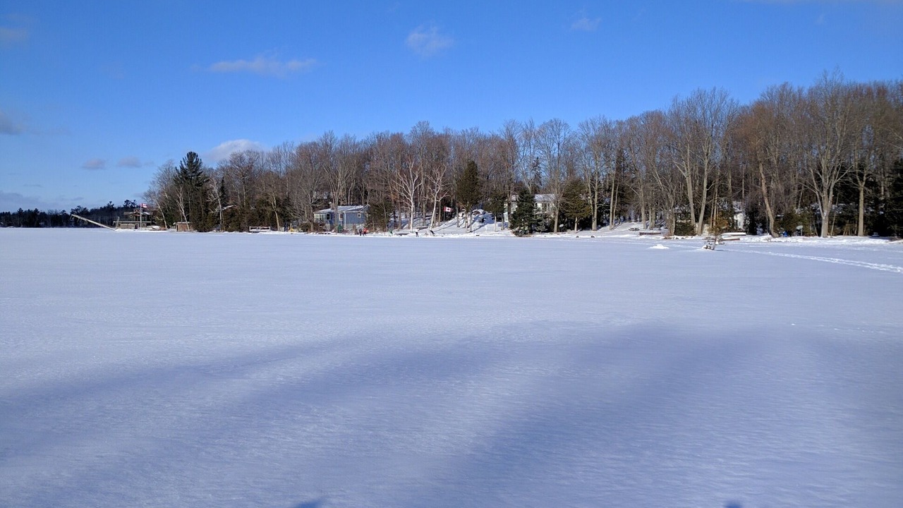 Photo of Others in Selwyn