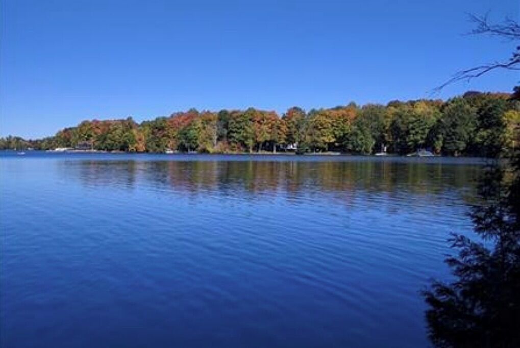 Photo of Outdoor in Selwyn