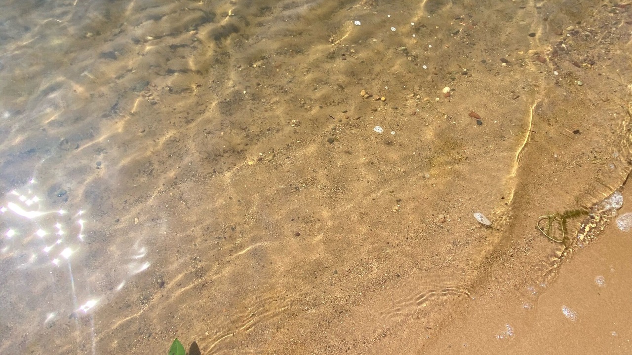 Photo of Others in Pequot Lakes