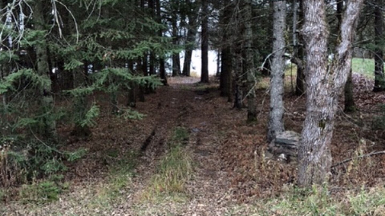 Photo of Outdoor in Dysart et al