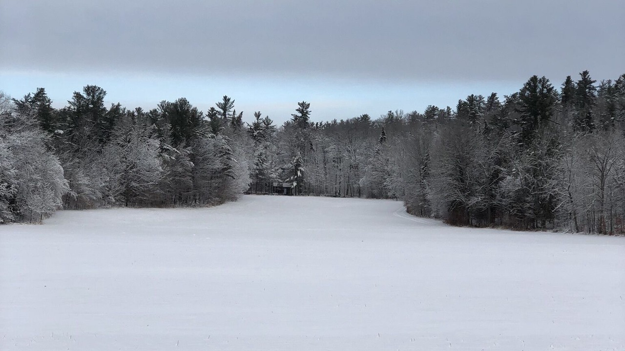 Photo of Others in Horton