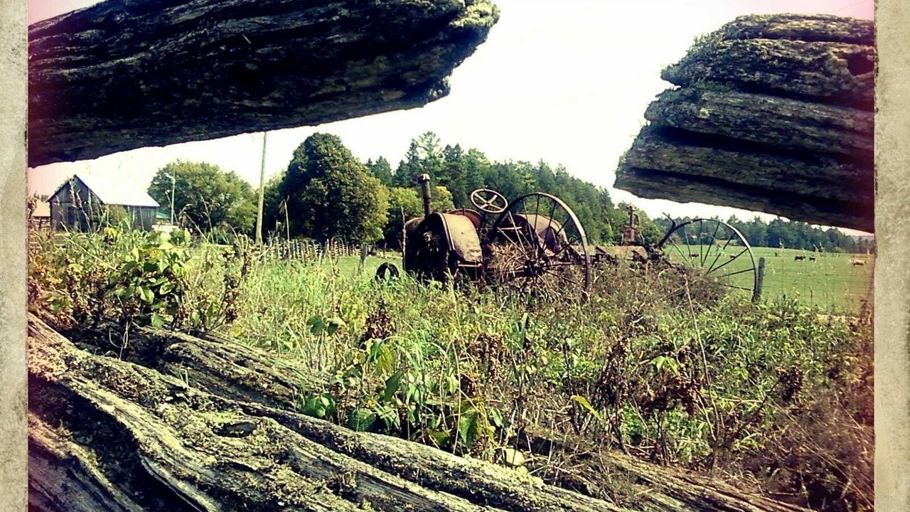 Photo of Others in Horton