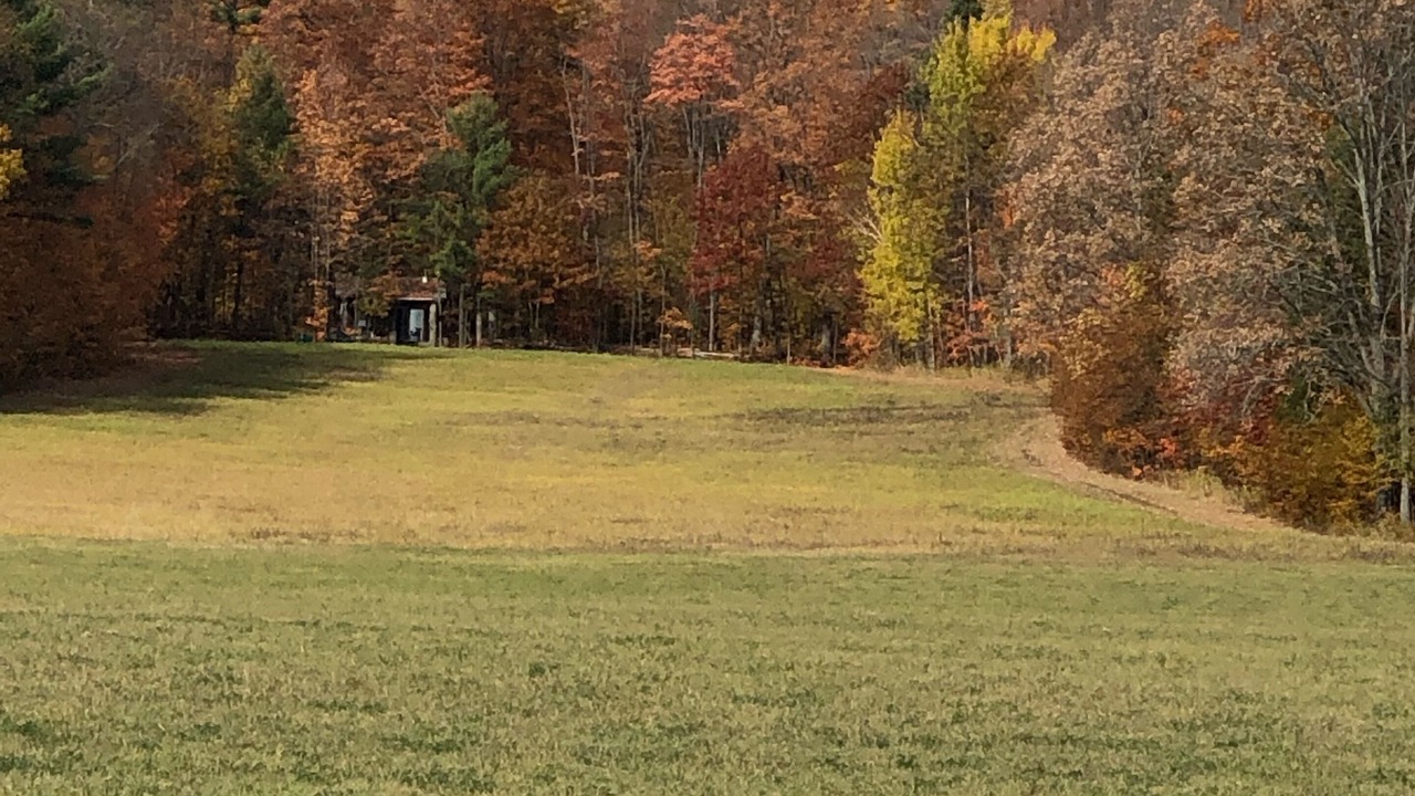 Photo of Others in Horton